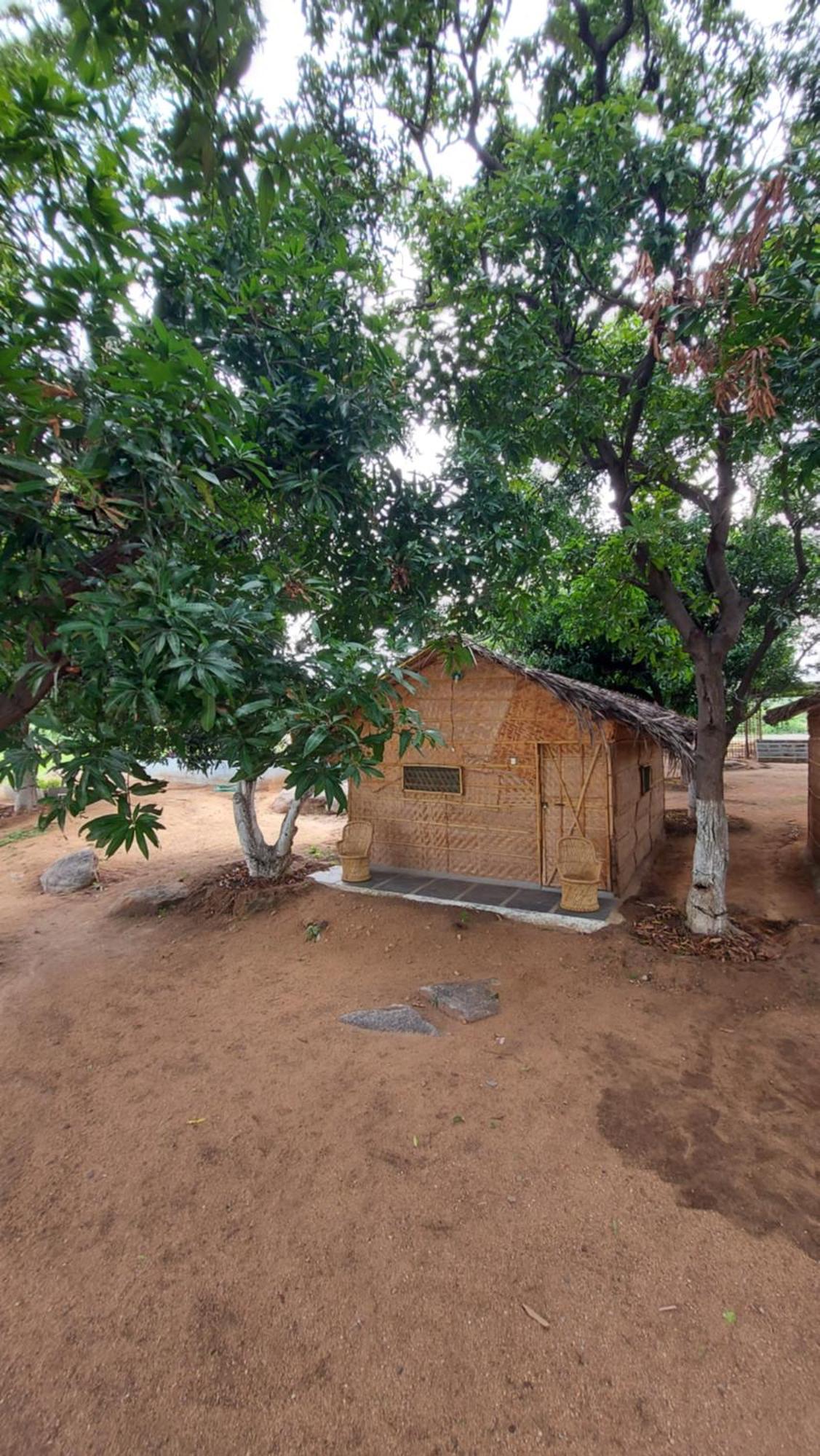 Sunrise Guest House&Restaurant Hampi Chambre photo