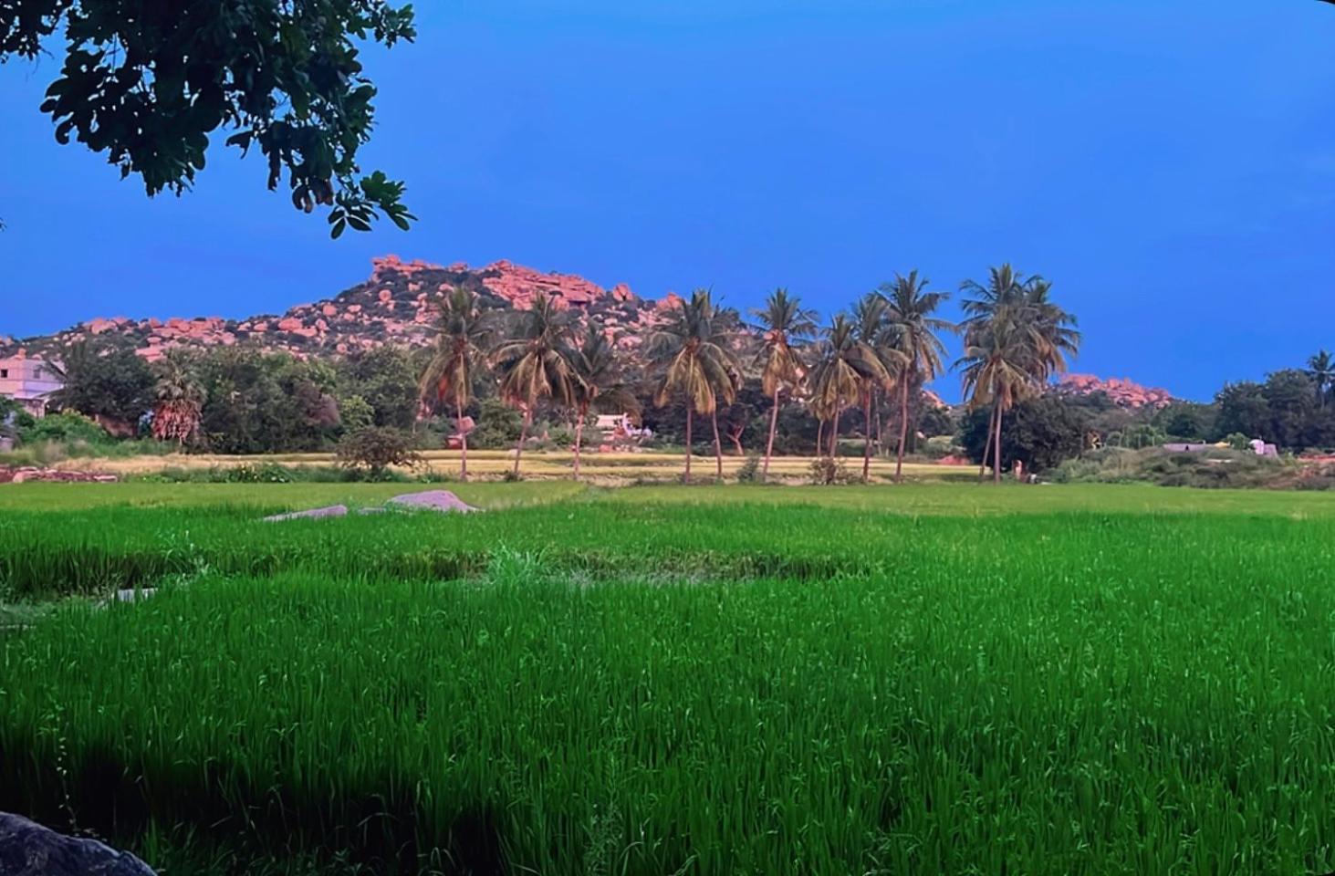 Sunrise Guest House&Restaurant Hampi Extérieur photo